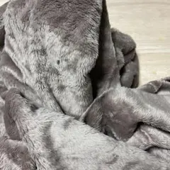 Item thumbnail for item 5511e6d1-3464-4275-97be-7ded4e73ed5c