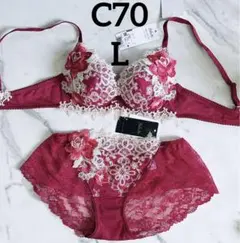 ★新品 C70 L サルート 84G ブラ ボーイレングスショーツ RP