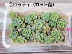 ゆゆゆ様 リクエスト 4点 まとめ商品