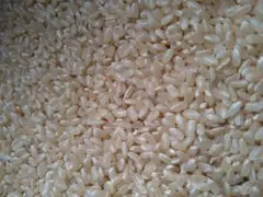 ☆送料込み☆長野県産☆R7年産☆あきたこまち　玄米6キロ＆風さやか玄米10キロのサムネイル