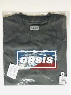 oasis グレー Tシャツ XL 日本限定 赤富士 富士山 - メルカリ