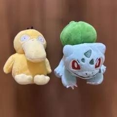 コダック フシギダネ　ポケモン ぬいぐるみ fit Pokemon