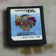 【正常動作品】めざせ 釣りマスター DS ソフトのみ