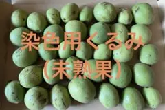 すぐに発送します☆宮崎県産摘果マンゴー2.5kg9個青マンゴーグリーン
