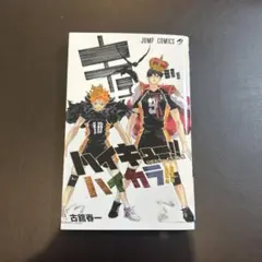 ハイキュー！公式カラーイラスト集