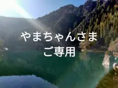 やまちゃんさまご専用　古帛紗