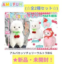 2026年最新】しろたん ぬいぐるみ bigの人気アイテム - メルカリ
