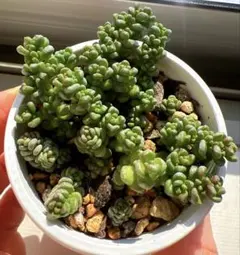 kaneri様 リクエスト 3点 まとめ商品