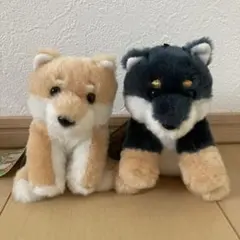 くったり柴犬 2種類 セット