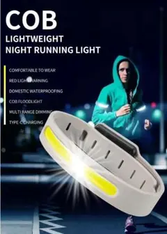 Item thumbnail for item 4bb9f375-f7ea-4488-af1f-3a73bf7d1b11