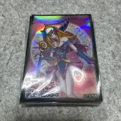遊戯王OCG 決闘王の記憶 ブラック・マジシャン・ガール スリーブ