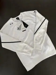 Item thumbnail for item 1d36875c-dc95-4f03-8d7c-8372116c90e1