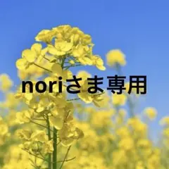 noriさま専用　中身付き