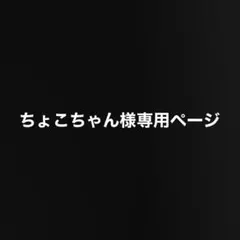 ちょこちゃん様専用ページ