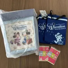 ディズニー　バケーションパッケージセット　ディズニーホテル限定　お正月限定メダル