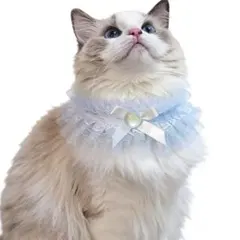 ペット用 フリルスタイ つけ襟 ブルー チョーカー 猫 犬 レース リボン