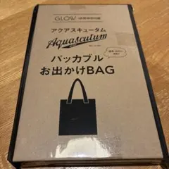 GLOW付録　アクアスキュータム　パッカブルお出かけバッグ