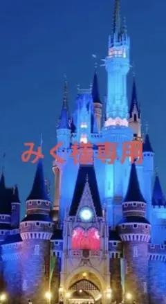 みく様専用 東京ディズニーリゾート ミッキーマウス パーカー M