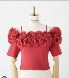 Seemi. by NICECLAUP コサージュニット3色セットのサムネイル