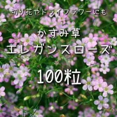 Yu様 リクエスト 6点 まとめ商品