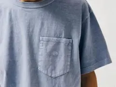 最終価格ノースフェイスパープルレーベルTシャツ