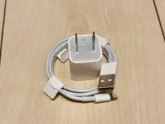 【新品純正】Apple USB電源アダプタとライトニングケーブル