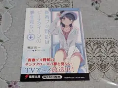 青春ブタ野郎はビーチクイーンの夢を見ないポストカード