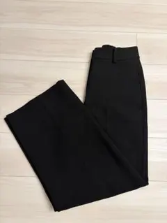 PLST 2024年モデル ワイドパンツ（ウォームリザーブ