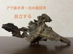 HX-112 流木　マシンガンウッド　ホーンウッド アクアリウム　ブランチウッド HX-147 流木 マシンガンウッド ホーンウッド アクアリウム ブランチ