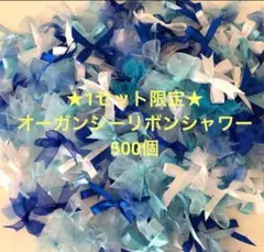 SALE 限定1セット☆サテン・オーガンジーリボンシャワー　500個
