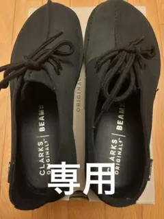 BEAMS 別注 Desert Trek GORE-TEX