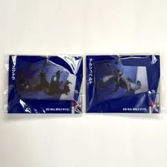 レッドブル×モンスターハンターワイルズコラボキーホルダー