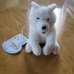 サモエドくん ふわふわぽん コンプリート 4点セット - メルカリ