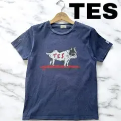TES テス フレンチブルドッグ　ネイビー Tシャツ Sのサムネイル