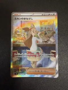 ミカンのまなざしsar