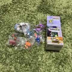 ぽけっと　BONSAI3 移りゆく季節と共に