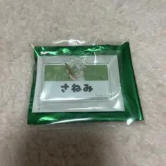 鬼滅の刃　海の家2024 ランダムネームプレートバッジB