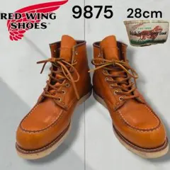 【極美品】レッドウィング　REDWING　アイリッシュセッター　9875 犬タグのサムネイル