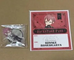 リドル　バクステパス