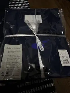 Item thumbnail for item 54be0e46-e99e-45cf-b0ea-fb6f41961779