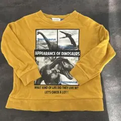 3can4on ダイナソー　恐竜　トレーナー