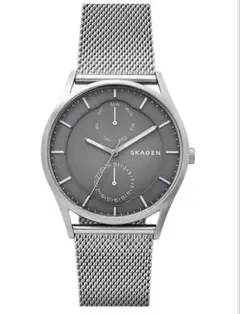 SKAGEN SKW6383 腕時計 ステンレスメッシュ