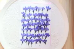 あやか様 リクエスト 2点 まとめ商品