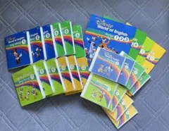 【美品・セール中】ディズニー英語　DWE シングアロング 2019年版