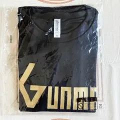 【新品・未開封】ぐんまウェブマラソン 2020 参加賞Tシャツ M ランニングのサムネイル
