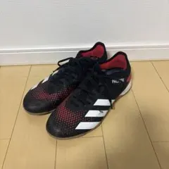 Item thumbnail for item 78eb7d0d-378c-479a-8fd6-8af9688f971d