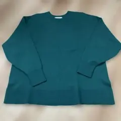 スローブイエナ　きれいめニット