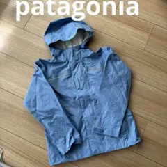 patagonia フード付きジャケット