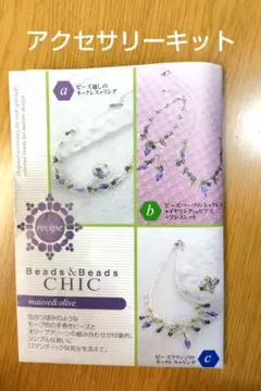 ベルメゾン　ビーズアクセサリーキット　モーブ＆オリーブ　紫