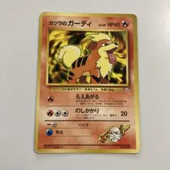 カツラのガーディ ポケモンジム第3弾 グレンタウンジム カツラ